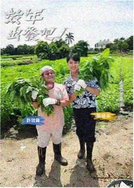 权力的游戏